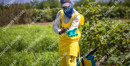 تعريف المبيدات الزراعية