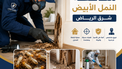 شركة مكافحة النمل الابيض شرق الرياض