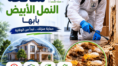 شركة مكافحة النمل الابيض بأبها