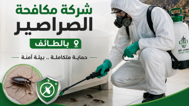 شركة مكافحة الصراصير بالطائف