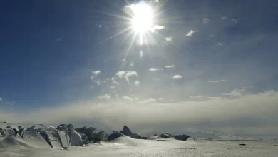 Temperatures in Antarctica were up to 40°C above seasonal averages. © Mark Ralston, AP